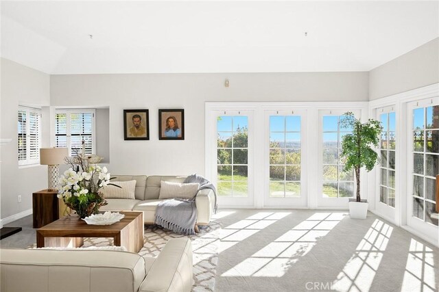 carpeted living room with a healthy amount of sunlight