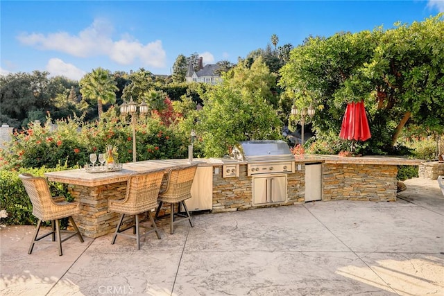 view of patio / terrace with exterior bar, an outdoor kitchen, and area for grilling