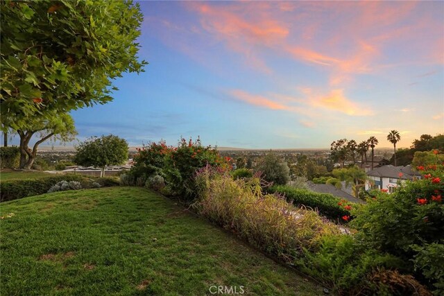 view of yard at dusk