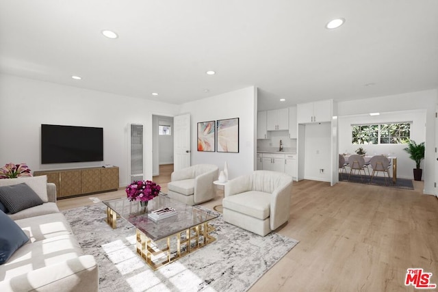 living room featuring sink and light wood-type flooring