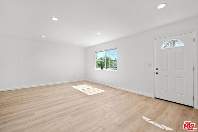 entrance foyer featuring light hardwood / wood-style flooring