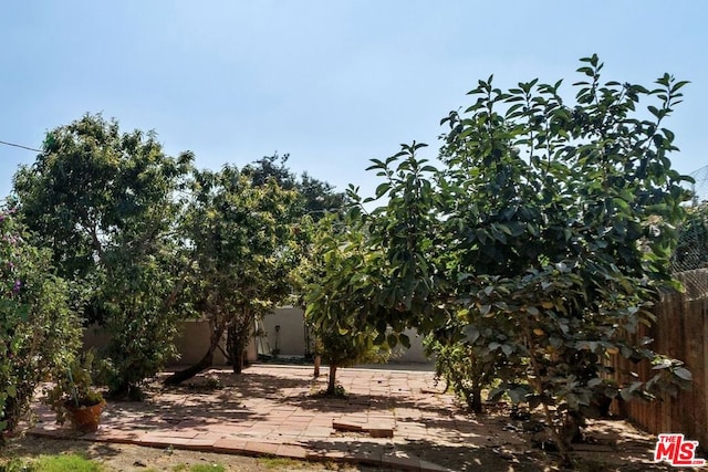 view of yard featuring a patio area