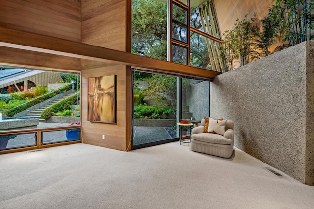 interior space with a high ceiling, carpet floors, and wood walls