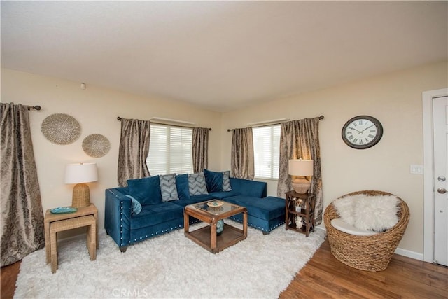 living room featuring hardwood / wood-style flooring