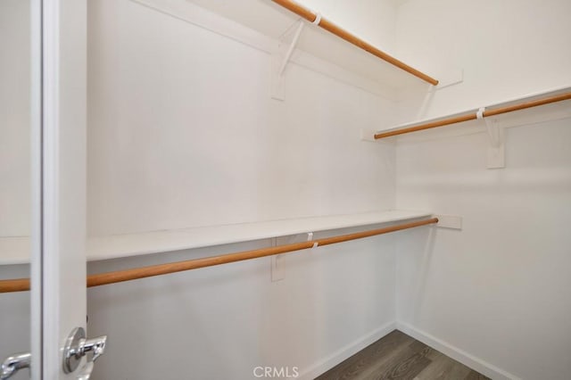 walk in closet featuring dark hardwood / wood-style flooring