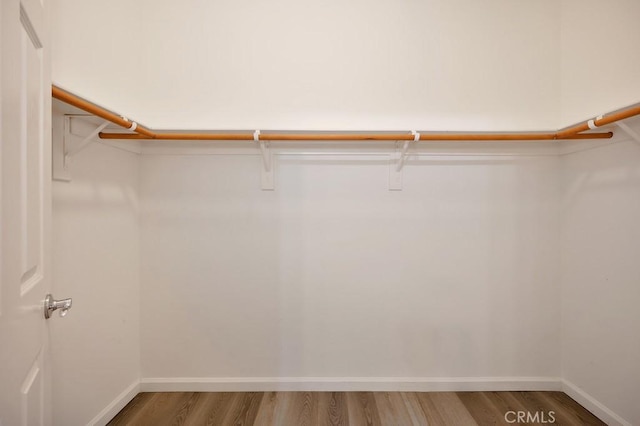 spacious closet featuring wood-type flooring