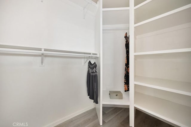 spacious closet with hardwood / wood-style floors