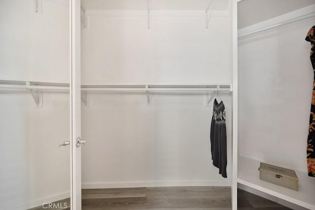 spacious closet with wood-type flooring