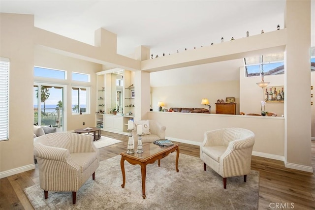 sitting room featuring wood-type flooring