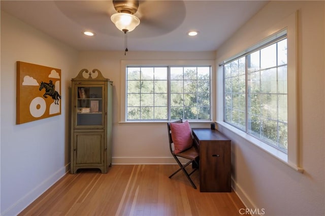 office space featuring ceiling fan and light wood-type flooring