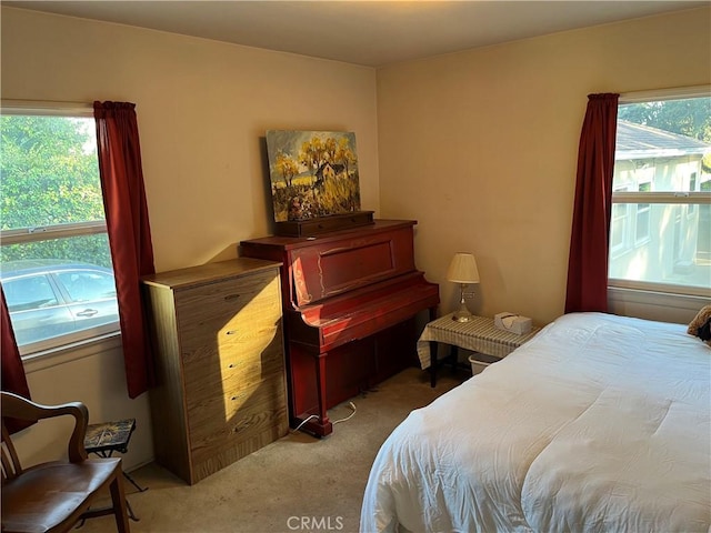 carpeted bedroom with multiple windows