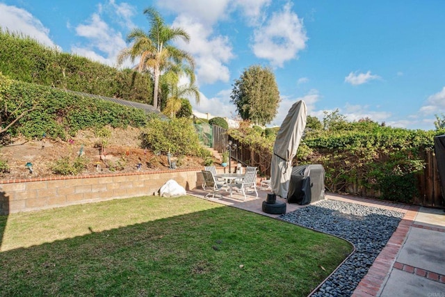 view of yard featuring a patio area