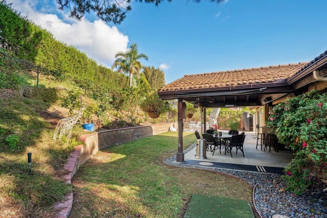 view of yard featuring a patio area