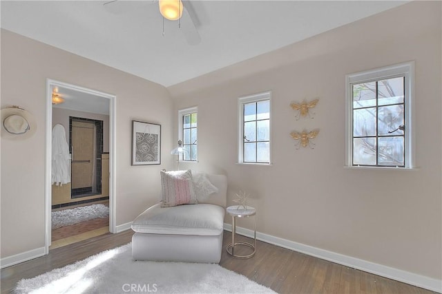 living area featuring dark hardwood / wood-style floors, ceiling fan, and a wealth of natural light