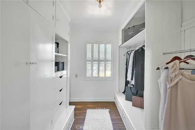 walk in closet with dark hardwood / wood-style flooring