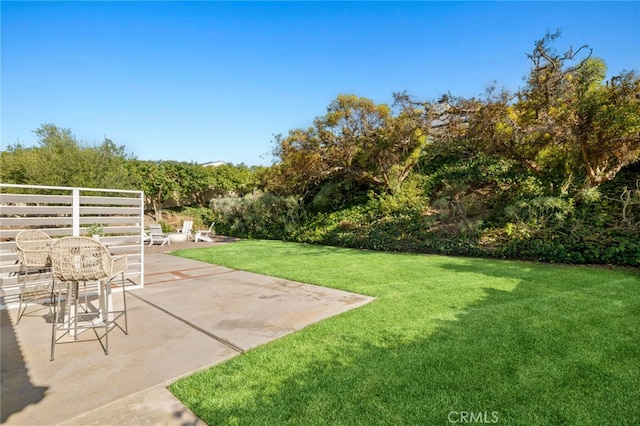 view of yard featuring a patio area