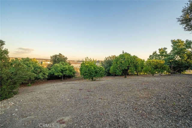 view of yard at dusk