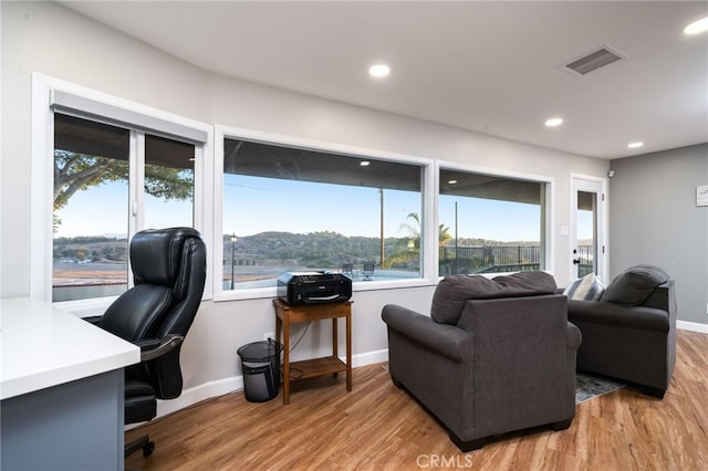 home office featuring plenty of natural light and light wood-type flooring