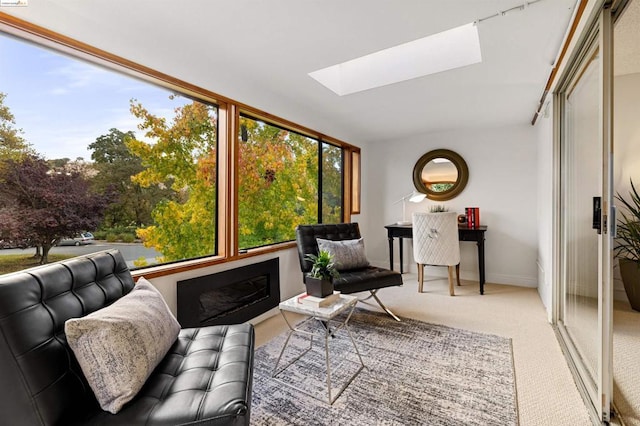 sunroom featuring a skylight