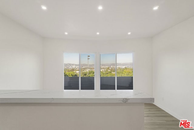 empty room featuring hardwood / wood-style flooring