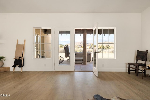 interior space with french doors and hardwood / wood-style floors