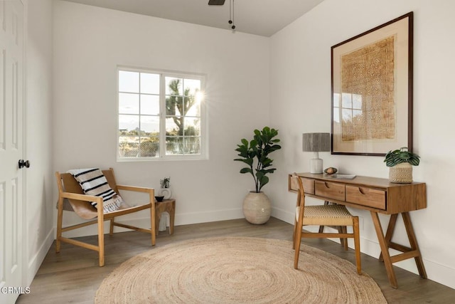 office featuring light hardwood / wood-style flooring and ceiling fan