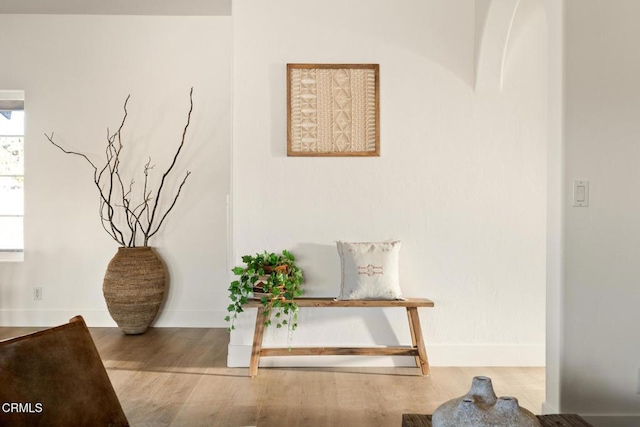 room details featuring wood-type flooring