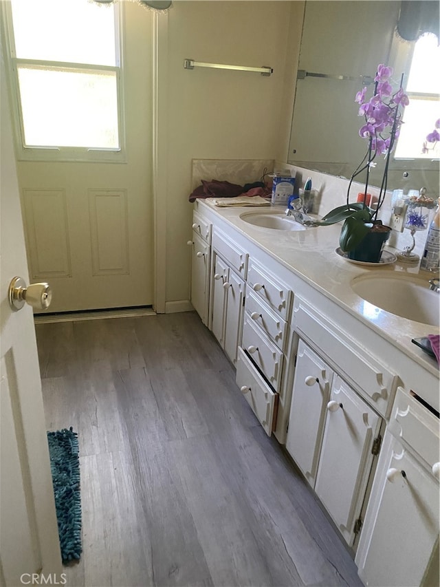 bathroom with hardwood / wood-style flooring and vanity