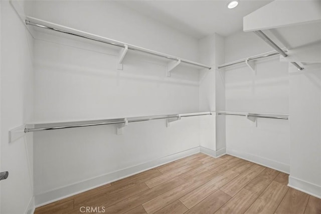 spacious closet with light wood-type flooring