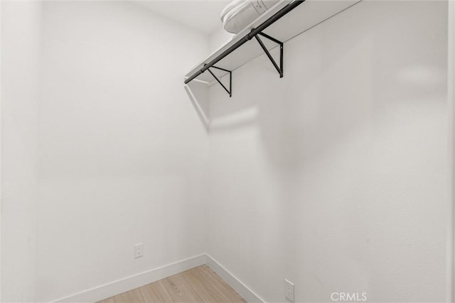 spacious closet featuring hardwood / wood-style flooring