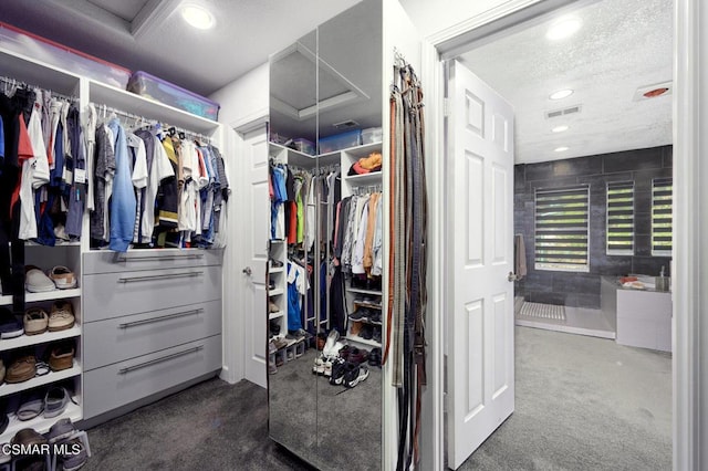 spacious closet with dark carpet