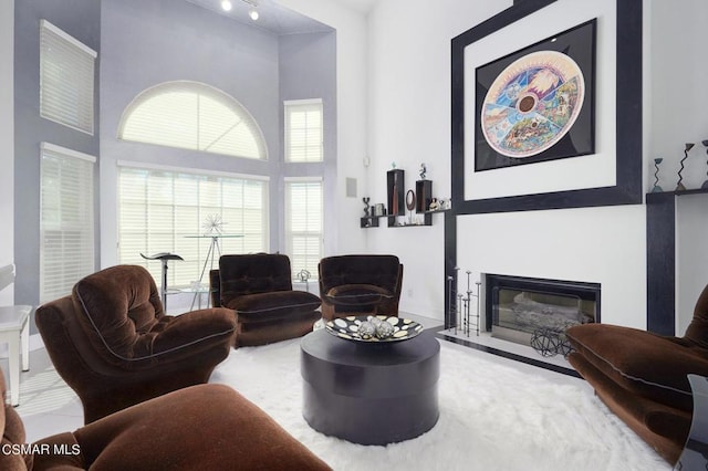 living room featuring a high ceiling