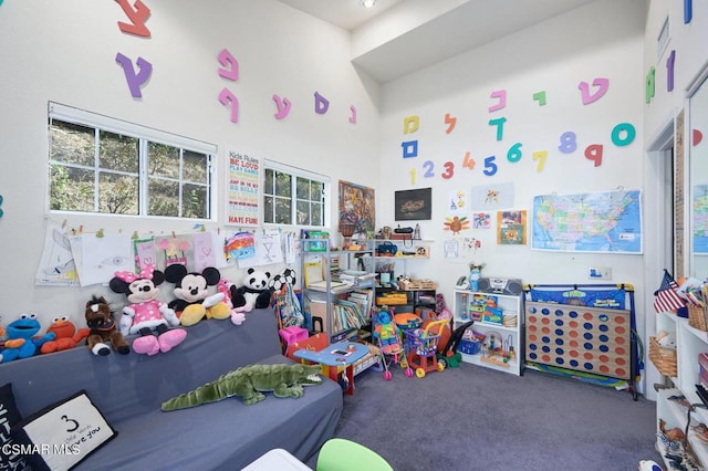 playroom featuring a high ceiling and dark carpet