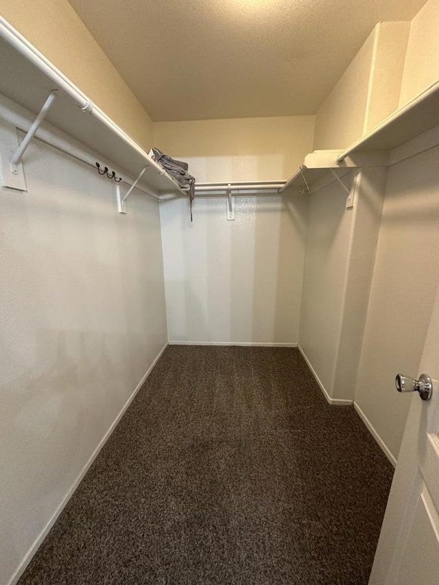 walk in closet featuring carpet