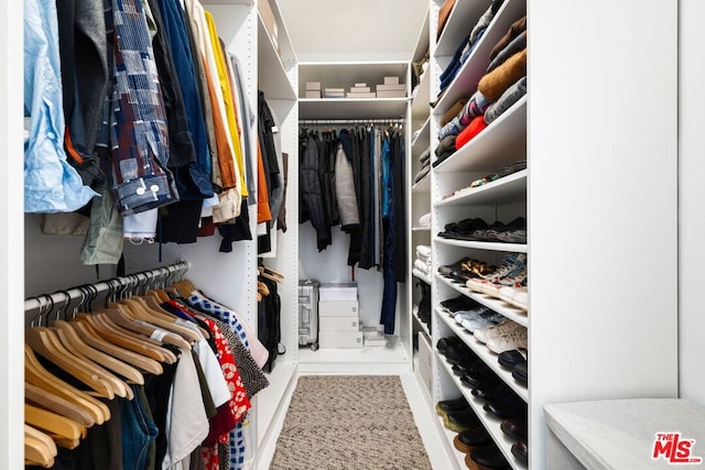 view of spacious closet