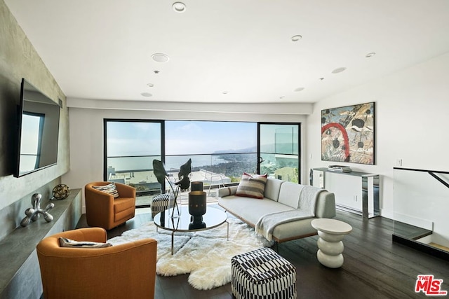 living room with dark hardwood / wood-style flooring