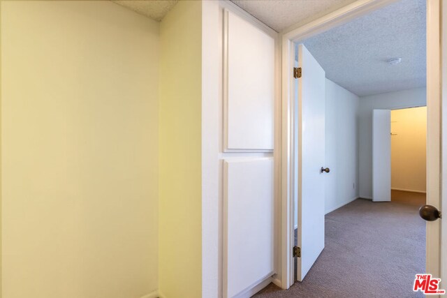 hallway with carpet and a textured ceiling