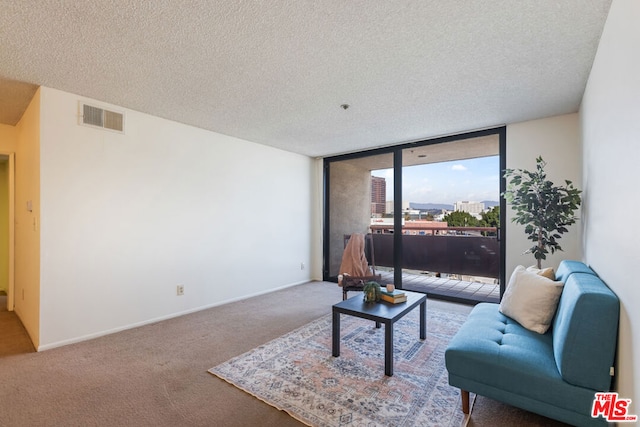 carpeted living room featuring a textured ceiling and expansive windows