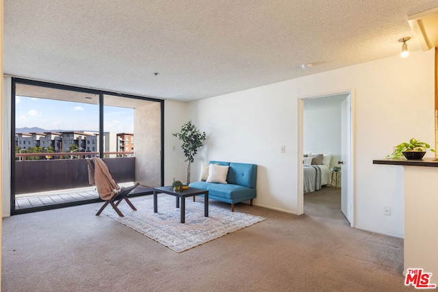 carpeted living room with floor to ceiling windows and a textured ceiling