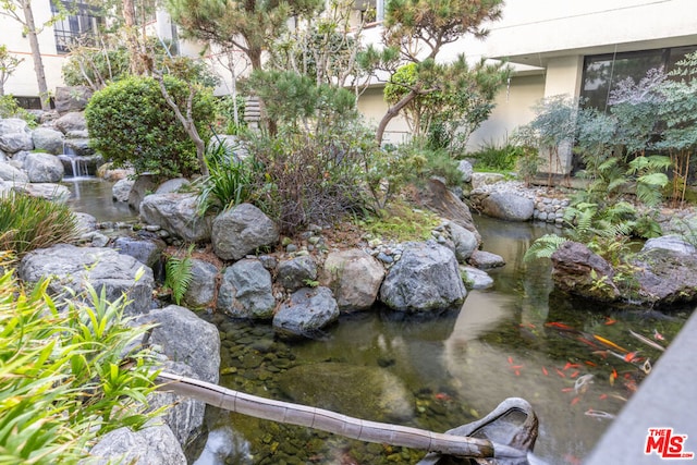 view of yard with a small pond