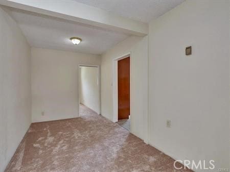 spare room with light colored carpet