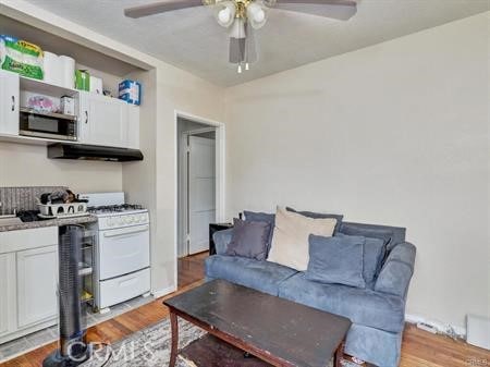 living room featuring ceiling fan and hardwood / wood-style floors