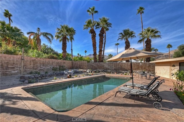 view of pool featuring a patio