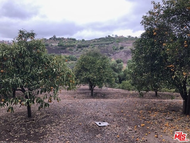 mountain view featuring a rural view