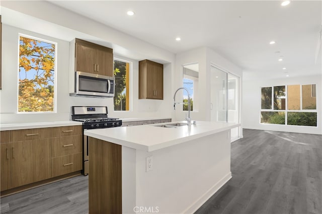 kitchen featuring a kitchen island with sink, sink, plenty of natural light, dark hardwood / wood-style flooring, and stainless steel appliances