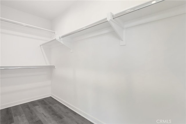 walk in closet featuring dark hardwood / wood-style flooring