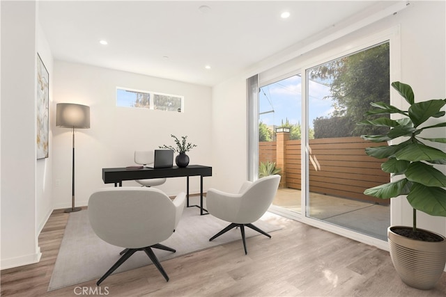 office space featuring light wood-type flooring and plenty of natural light