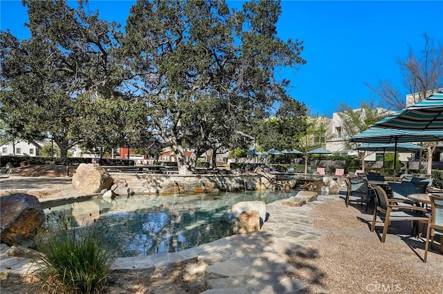 view of swimming pool featuring a patio