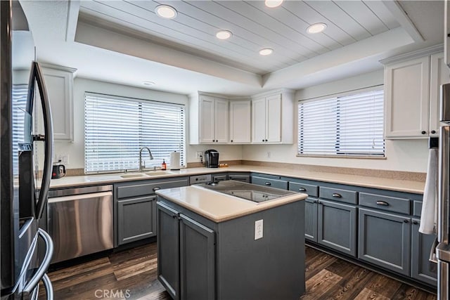 kitchen featuring sink, stainless steel appliances, dark hardwood / wood-style flooring, a tray ceiling, and a kitchen island