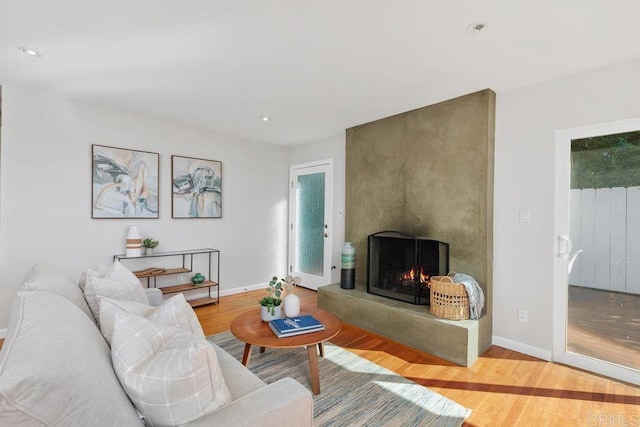 living room with hardwood / wood-style flooring and a fireplace